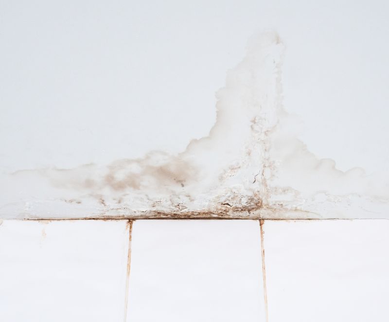 Ceiling Leak Repair Service in Santa Rosa, CA