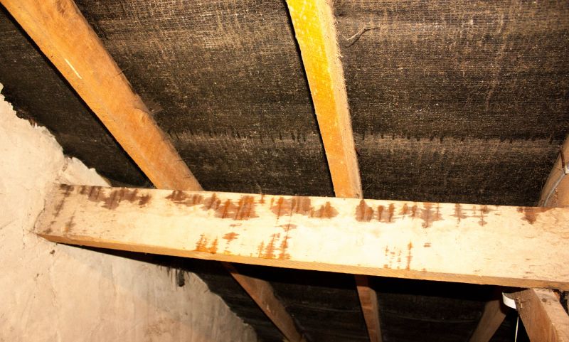 Crawl Space Remediation in Santa Rosa, CA
